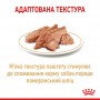 Вологий корм для собак Royal Canin (Роял Канін) Pomeranian loaf 85 г