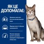 Сухий лікувальний корм для котів Hill's (Хіллс) Prescription Diet Feline k/d Kidney Care Fish 3 кг