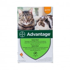 Капли от блох для кошек до 4 кг Advantage (1 пипетка)