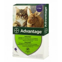 Капли от блох для кошек от 4 кг Advantage (1 пипетка)