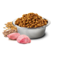 Сухой корм для собак Farmina (Фармина) Dog Chicken & Pomegranate Adult Light Mіni 2.5 кг