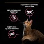 Сухий корм для котів Purina Pro Plan Cat Delicate Turkey 10 кг