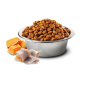 Сухий беззерновий корм для собак Farmina (Фарміна) N&D Grain Free Ocean Cod Pumpkin & Orange Adult Mini 7 кг