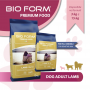 Сухой корм для собак Bio Form (Био Форм) Premium Food Lamb 15 кг