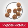 Сухий корм для цуценят Hill's (Хіллс) Science Plan Puppy Small & Miniature Lamb & Rice 6 кг