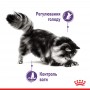 Вологий корм для котів Royal Canin Appetite Control Care 85 г
