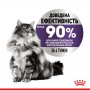 Вологий корм для котів Royal Canin Appetite Control Care 85 г