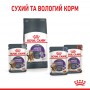Вологий корм для котів Royal Canin Appetite Control Care 85 г