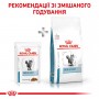 Вологий лікувальний корм для котів Royal Canin (Роял Канін) Skin & Coat 85 г