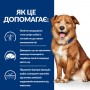 Сухий лікувальний корм для собак Hill's (Хіллс) Prescription Diet Canine Derm Complete 12 кг