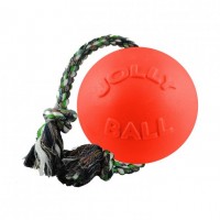 Іграшка для собак Jolly Pets Romp-N-Roll Orange 12 см