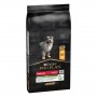 Сухий корм для щенят Purina Pro Plan Puppy Medium Chicken 18 кг