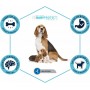 Сухой корм для кормящих собак и щенков Advance Mother Dog Initial Chicken & Rice 0.8 кг