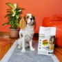 Пелюшки для тварин Croci Super Nappy 84х57 см 30 шт.