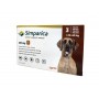 Таблетки від бліх та кліщів для собак Simparica 40-60 кг (1 таблетка)