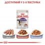 Вологий корм для котів Royal Canin (Роял Канін) Sterilised Jelly 85 г 12 шт.