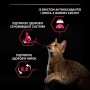 Сухий корм для котів Purina Pro Plan Sterilised Adult Cod & Trout 3 кг