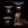 Сухой корм для котов Purina Pro Plan Cat Delicate Lamb 3 кг