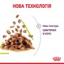 Вологий корм для котів Royal Canin Sensory Smell Chunks in gravy 85 г
