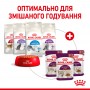 Вологий корм для котів Royal Canin Sensory Smell Chunks in gravy 85 г