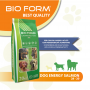 Сухой корм для собак Bio Form Superpremium Food Dog Energy Salmon 20 кг