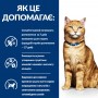 Сухий лікувальний корм для котів Hill's (Хіллс) Prescription Diet Feline c/d Multicare Urinary Care Chicken 1.5 кг