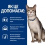 Сухий лікувальний корм для котів Hill's (Хіллс) Prescription Diet Feline k/d Kidney Care Chicken 0.4 кг