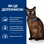 Сухий лікувальний корм для котів Hill's (Хіллс) Prescription Diet Feline Diabetes/Weight Management Chicken 1.5 кг