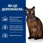 Сухий лікувальний корм для котів Hill's (Хіллс) Prescription Diet Feline m/d Diabetes/Weight Management