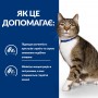 Сухий лікувальний корм для котів Hill's (Хіллс) Prescription Diet Feline s/d Urinary Care Chicken 3 кг
