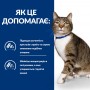 Сухой лечебный корм для котов Hill's (Хиллс) Prescription Diet Feline s/d Urinary Care Chicken 3 кг