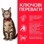 Сухий корм для котів Hill's (Хіллс) Science Plan Feline Adult Lamb 10 кг