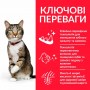 Сухий корм для котів Hill's (Хіллс) Science Plan Feline Adult Oral Care Chicken 1.5 кг