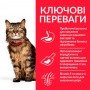 Сухий корм для котів Hill's (Хіллс) Science Plan Feline Sensitive Stomach & Skin Chicken 0.3 кг