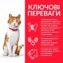 Сухий корм для котів Hill's (Хіллс) Science Plan Young Sterilised Chicken 0.3 кг