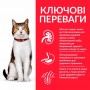 Сухий корм для котів Hill's (Хіллс) Science Plan Feline Mature Adult 7+ Chicken 10 кг