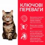 Сухой корм для котов Hill's (Хиллс) Science Plan Feline Hairball & Indoor Mature Adult 7+ Chicken 1.5 кг