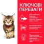 Сухой корм для котят Hill's (Хиллс) Science Plan Kitten Chicken 0.3 кг