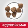 Сухой корм для котят Hill's (Хиллс) Science Plan Kitten Chicken 0.3 кг