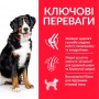 Сухий корм для собак Hill's (Хіллс) Science Plan Adult Advanced Fitness Large Breed Chicken 14 кг