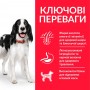 Сухой корм для собак Hill's (Хиллс) Science Plan Adult Medium Chicken 2.5 кг