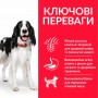 Сухой корм для собак Hill's (Хиллс) Science Plan Adult Medium Lamb 2.5 кг