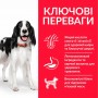 Сухий корм для собак Hill's (Хіллс) Science Plan Adult Advanced Fitness Medium Tuna 2.5 кг