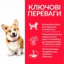 Сухой корм для собак Hill's Science Plan Adult Small & Mini Chicken 0.3 кг