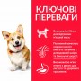 Сухой корм для собак Hill's (Хиллс) Science Plan Adult Small & Mini Lamb 0.3 кг