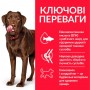 Сухий корм для собак Hill's (Хіллс) Science Plan Adult Large Breed Healthy Mobility Chicken 14 кг