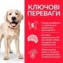 Сухой корм для крупных пород собак контроль веса Hill's (Хилс) Science Plan Adult Light Large Breed 14 кг