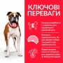 Сухий корм для собак Hill's (Хіллс) Science Plan Adult Light Medium Breeds Chicken 14 кг