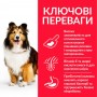 Сухий корм для собак Hill's (Хіллс) Science Plan Adult Sensitive Stomach & Skin Medium Chicken 2.5 кг