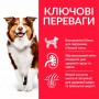 Сухой корм для собак Hill's (Хиллс) Science Plan Mature Adult 7+ Medium Chicken 14 кг